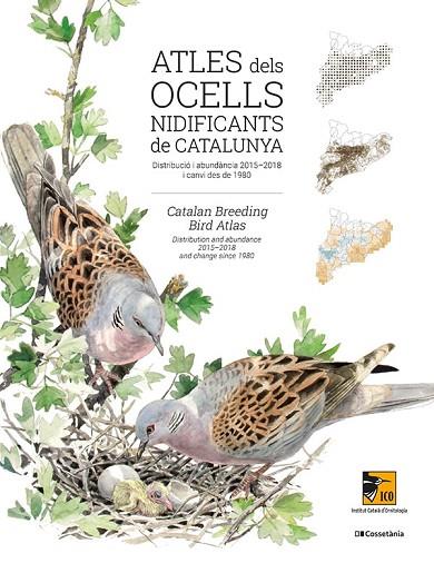 ATLES DELS OCELLS NIDIFICANTS DE CATALUNYA | 9788413560939 | INSTITUT CATALÀ D'ORNITOLOGIA | Llibreria Online de Banyoles | Comprar llibres en català i castellà online