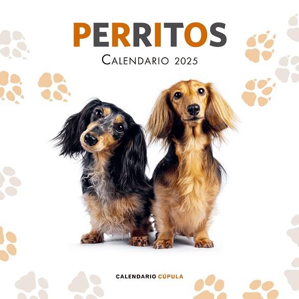 CALENDARIO PERRITOS 2025 | 9788448041649 | AA. VV. | Llibreria Online de Banyoles | Comprar llibres en català i castellà online