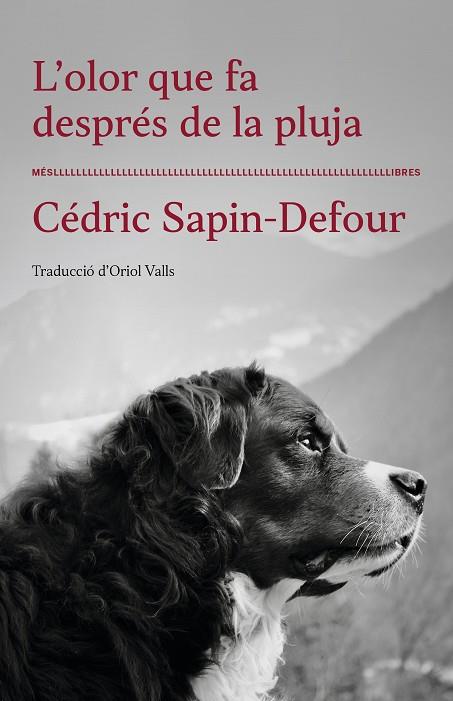 OLOR QUE FA DESPRÉS DE LA PLUJA, L' | 9788417353568 | SAPIN-DEFOUR, CÉDRIC | Llibreria Online de Banyoles | Comprar llibres en català i castellà online