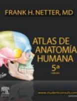 ATLAS DE ANATOMÍA HUMANA 5ª ED | 9788445820650 | NETTER | Llibreria Online de Banyoles | Comprar llibres en català i castellà online