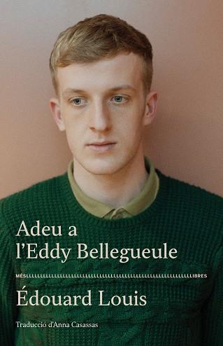 ADEU A L'EDDY BELLEGUEULE | 9788417353544 | LOUIS, ÉDOUARD | Llibreria Online de Banyoles | Comprar llibres en català i castellà online