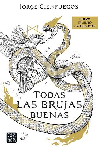 TODAS LAS BRUJAS BUENAS | 9788408260066 | CIENFUEGOS, JORGE | Llibreria Online de Banyoles | Comprar llibres en català i castellà online