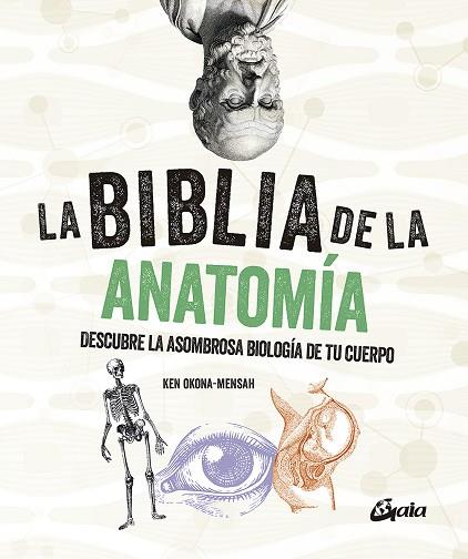 BIBLIA DE LA ANATOMÍA, LA | 9788484459521 | OKONA-MENSAH, KEN | Llibreria L'Altell - Llibreria Online de Banyoles | Comprar llibres en català i castellà online - Llibreria de Girona