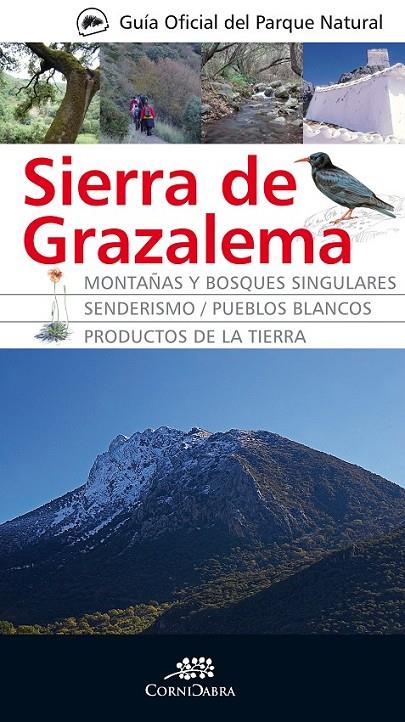SIERRA DE GRAZALEMA-GUIA OFICIAL | 9788492924370 | AA.VV. | Llibreria Online de Banyoles | Comprar llibres en català i castellà online