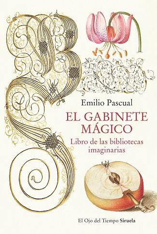 EL GABINETE MÁGICO | 9788419553041 | PASCUAL, EMILIO | Llibreria Online de Banyoles | Comprar llibres en català i castellà online