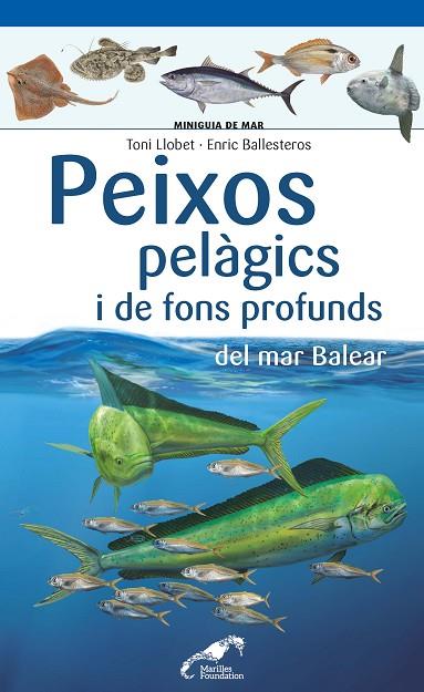 PEIXOS PELÀGICS I DE FONS PROFUNDS DEL MAR BALEAR | 9788490349397 | LLOBET FRANÇOIS, TONI/BALLESTEROS SAGARRA, ENRIC | Llibreria L'Altell - Llibreria Online de Banyoles | Comprar llibres en català i castellà online - Llibreria de Girona