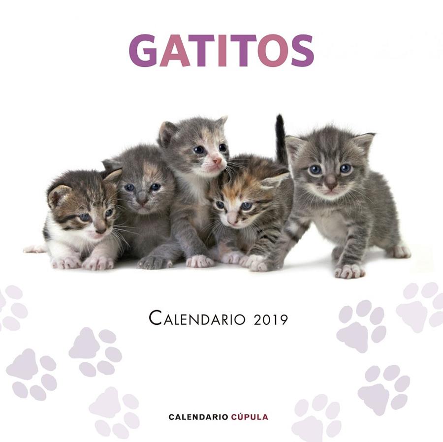 CALENDARIO GATITOS 2019 | 9788448024659 | AA. VV. | Llibreria Online de Banyoles | Comprar llibres en català i castellà online