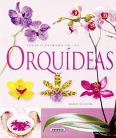 ATLAS ILUSTRADO DE ORQUÍDEAS | 9788430563715 | * | Llibreria L'Altell - Llibreria Online de Banyoles | Comprar llibres en català i castellà online - Llibreria de Girona