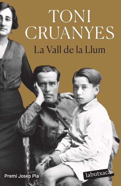 LA VALL DE LA LLUM | 9788419107701 | CRUANYES, TONI | Llibreria L'Altell - Llibreria Online de Banyoles | Comprar llibres en català i castellà online - Llibreria de Girona