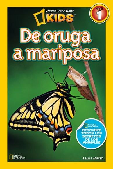 DE ORUGA A MARIPOSA | 9788482985619 | MARSH , LAURA | Llibreria Online de Banyoles | Comprar llibres en català i castellà online