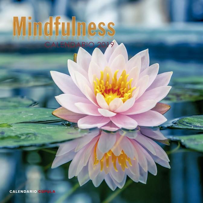 CALENDARIO MINDFULNESS 2019 | 9788448024598 | AA. VV. | Llibreria Online de Banyoles | Comprar llibres en català i castellà online