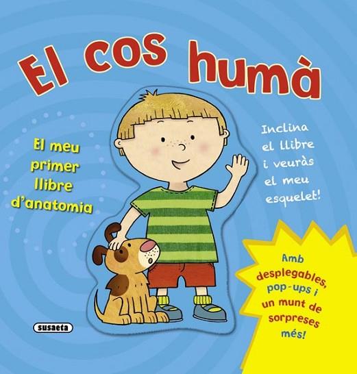 COS HUMÀ. EL MEU PRIMER LLIBRE D'ANATOMIA, EL | 9788467720341 | SUSAETA, EQUIP | Llibreria Online de Banyoles | Comprar llibres en català i castellà online