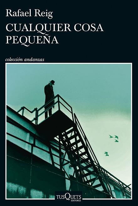 CUALQUIER COSA PEQUEÑA | 9788411074728 | REIG, RAFAEL | Llibreria Online de Banyoles | Comprar llibres en català i castellà online