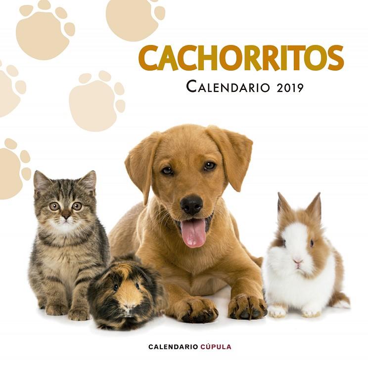 CALENDARIO CACHORRITOS 2019 | 9788448024673 | AA. VV. | Llibreria Online de Banyoles | Comprar llibres en català i castellà online