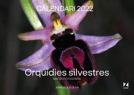 2022 ORQUÍDIES SILVESTRES CALENDARI | 9781901175523 | JUGLÀ OLIVA, JOAN | Llibreria Online de Banyoles | Comprar llibres en català i castellà online