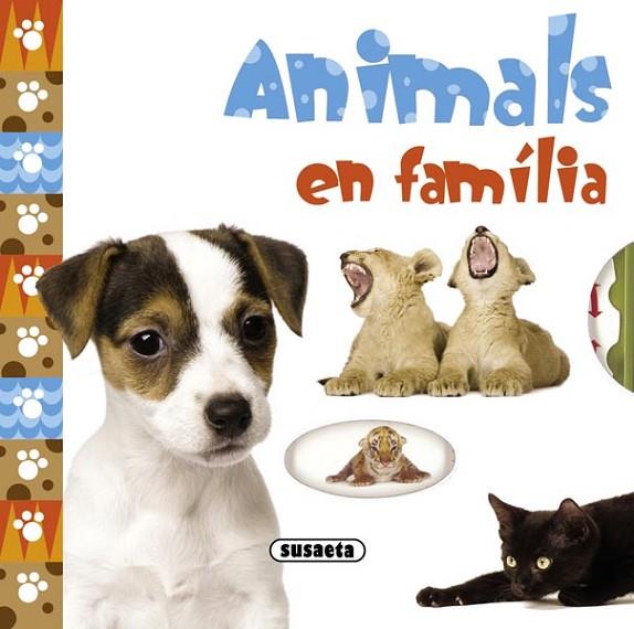 ANIMALS EN FAMÍLIA | 9788467717228 | APSLEY, BRENDA | Llibreria Online de Banyoles | Comprar llibres en català i castellà online