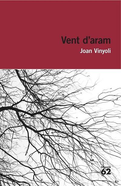 VENT D'ARAM | 9788415954248 | JOAN VINYOLI PLADEVALL | Llibreria L'Altell - Llibreria Online de Banyoles | Comprar llibres en català i castellà online - Llibreria de Girona