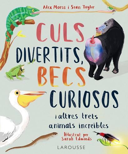 CULS DIVERTITS, BECS CURIOSOS | 9788419436016 | MORSS, ALEX/TAYLOR, SEAN | Llibreria Online de Banyoles | Comprar llibres en català i castellà online