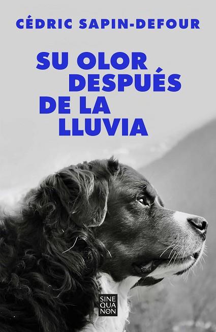 SU OLOR DESPUÉS DE LA LLUVIA | 9788466678766 | SAPIN-DEFOUR, CÉDRIC | Llibreria Online de Banyoles | Comprar llibres en català i castellà online
