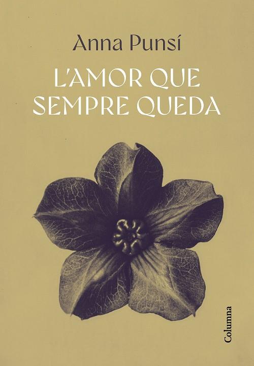 L'AMOR QUE SEMPRE QUEDA | 9788466432382 | PUNSÍ LLADÓ, ANNA | Llibreria L'Altell - Llibreria Online de Banyoles | Comprar llibres en català i castellà online - Llibreria de Girona