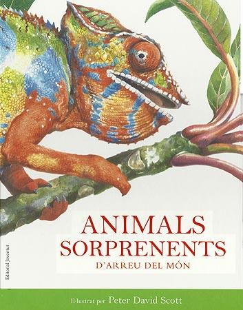 ANIMALS SORPRENENTS(D'ARREU DEL MÓN) | 9788426138712 | ILUST. PETER DAVID SCOTT | Llibreria Online de Banyoles | Comprar llibres en català i castellà online