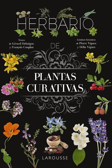 HERBARIO DE PLANTAS CURATIVAS | 9788410124110 | VIGNES, PIERRE/VIGNES, DÉLIA | Llibreria L'Altell - Llibreria Online de Banyoles | Comprar llibres en català i castellà online - Llibreria de Girona