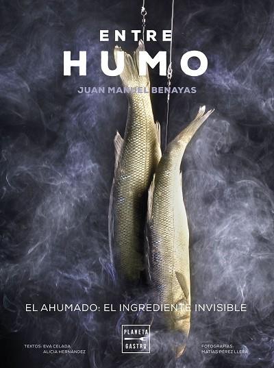 ENTRE HUMO | 9788408271048 | BENAYAS, JUAN MANUEL | Llibreria Online de Banyoles | Comprar llibres en català i castellà online