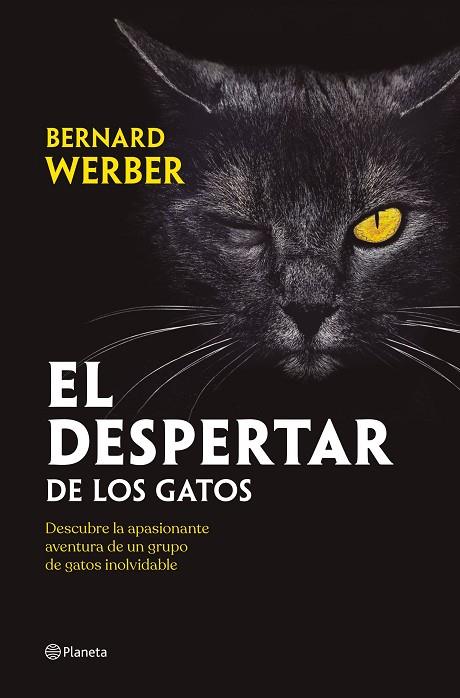 EL DESPERTAR DE LOS GATOS | 9788408251835 | WERBER, BERNARD | Llibreria Online de Banyoles | Comprar llibres en català i castellà online