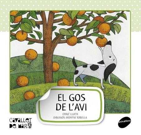 GOS DE L'AVI, EL | 9788415095507 | LLUCH GIRBÉS, ENRIC | Llibreria Online de Banyoles | Comprar llibres en català i castellà online
