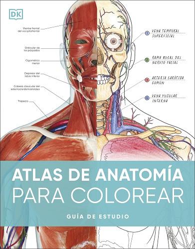 ATLAS DE ANATOMÍA PARA COLOREAR | 9780241703090 | DK | Llibreria L'Altell - Llibreria Online de Banyoles | Comprar llibres en català i castellà online - Llibreria de Girona