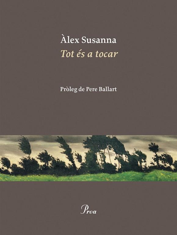 TOT ÉS A TOCAR | 9788410488045 | SUSANNA NADAL, ÀLEX | Llibreria L'Altell - Llibreria Online de Banyoles | Comprar llibres en català i castellà online - Llibreria de Girona