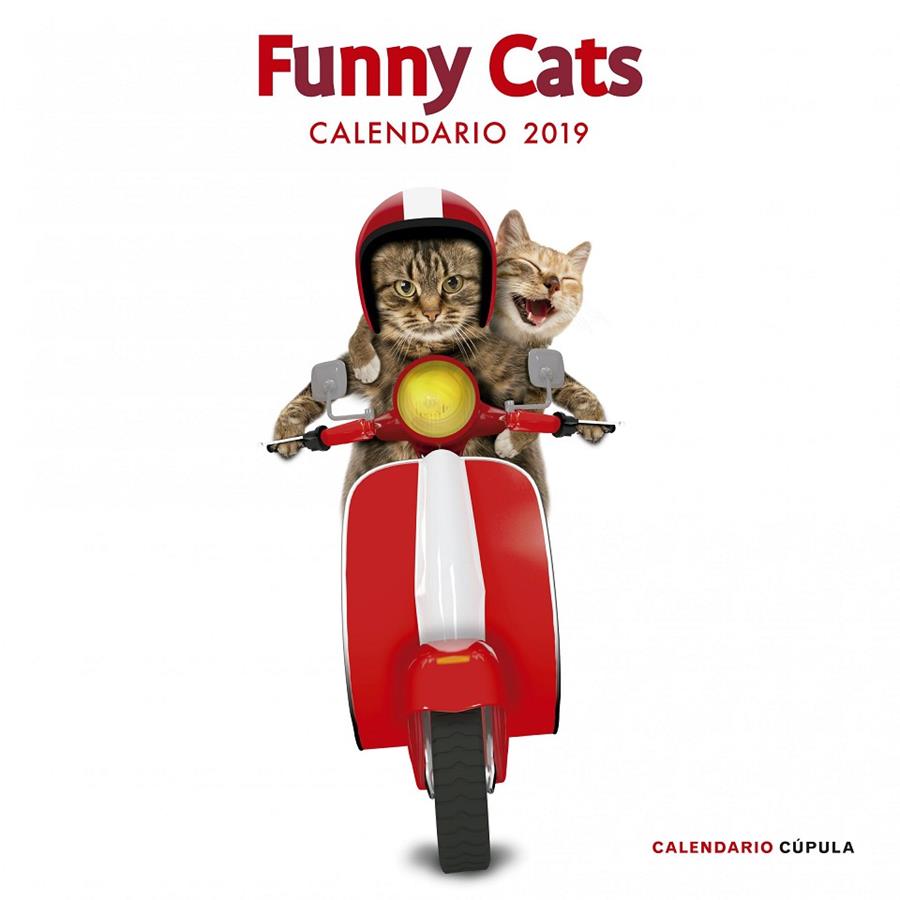 CALENDARIO FUNNY CATS 2019 | 9788448024628 | AA. VV. | Llibreria Online de Banyoles | Comprar llibres en català i castellà online