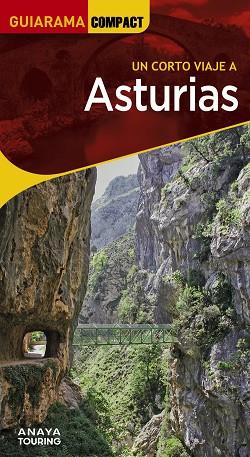 CORTO VIAJE A ASTURIAS, UN | 9788491587309 | MARTÍNEZ REVERTE, JAVIER/GÓMEZ, IÑAKI/ALONSO GONZÁLEZ, JUAN CARLOS/PLANS, JUAN JOSÉ | Llibreria Online de Banyoles | Comprar llibres en català i castellà online