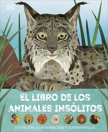 EL LIBRO DE LOS ANIMALES INSÓLITOS | 9780241637692 | BITTEL, JASON | Llibreria Online de Banyoles | Comprar llibres en català i castellà online