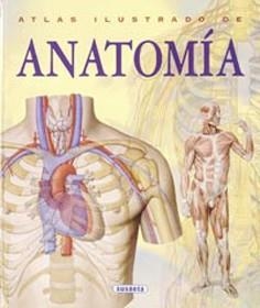 ATLAS DE ANATOMIA | 9788430534784 | * | Llibreria Online de Banyoles | Comprar llibres en català i castellà online