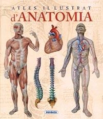 ANATOMIA | 9788467702101 | RIGUTTI, ADRIANA | Llibreria Online de Banyoles | Comprar llibres en català i castellà online