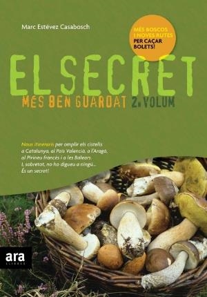 SECRET MES BEN GUARDAT 2 | 9788492406272 | ESTÉVEZ CASABOSCH,MARC | Llibreria Online de Banyoles | Comprar llibres en català i castellà online