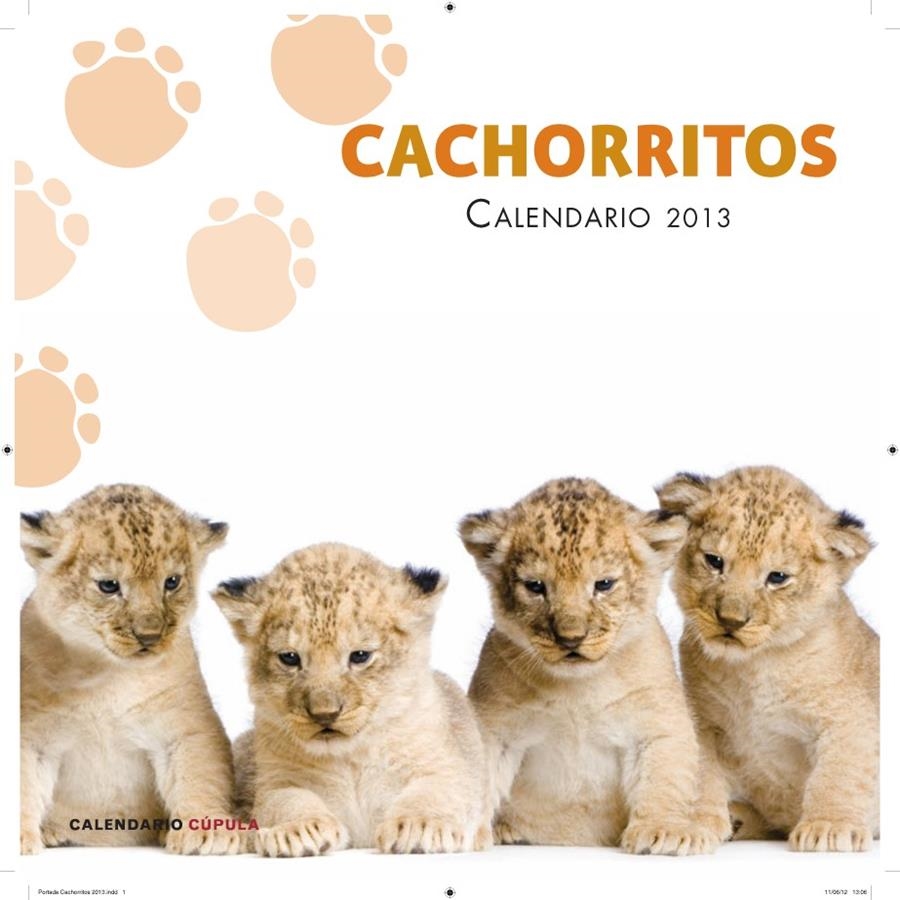 CALENDARIO CACHORRITOS 2013 | 9788448006655 | AA. VV. | Llibreria Online de Banyoles | Comprar llibres en català i castellà online