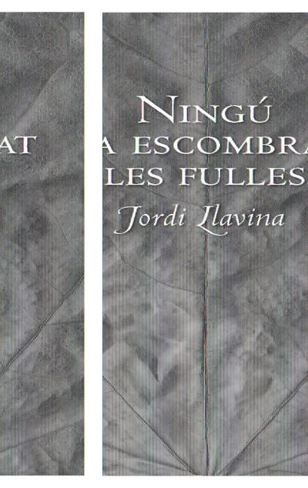 NINGÚ HA ESCOMBRAT LES FULLES | 9788492406197 | LLAVINA, JORDI | Llibreria L'Altell - Llibreria Online de Banyoles | Comprar llibres en català i castellà online - Llibreria de Girona