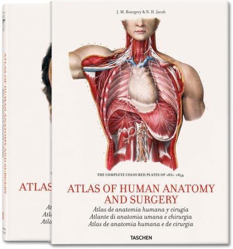 ATLAS OF HUMAN ANATOMY AND SURGERY | 9783836534499 | BOURGERY, J. M./JACOB, N. H. | Llibreria L'Altell - Llibreria Online de Banyoles | Comprar llibres en català i castellà online - Llibreria de Girona