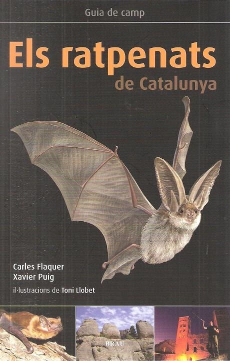 RATPENATS DE CATALUNYA, ELS | 9788496905795 | FLAQUER, CARLES/ PUIG, XAVIER/ LLOBET, TONI | Llibreria Online de Banyoles | Comprar llibres en català i castellà online