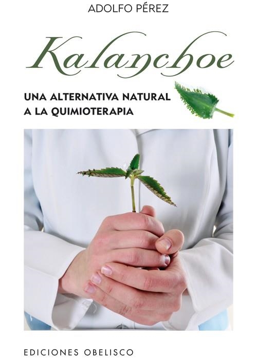 KALANCHOE  | 9788497778862 | PÉREZ, ADOLFO | Llibreria Online de Banyoles | Comprar llibres en català i castellà online