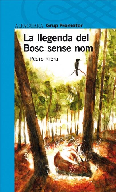 LLEGENDA DEL BOSC SENSE NOM, LA | 9788479183561 | PEDRO RIERA | Llibreria Online de Banyoles | Comprar llibres en català i castellà online