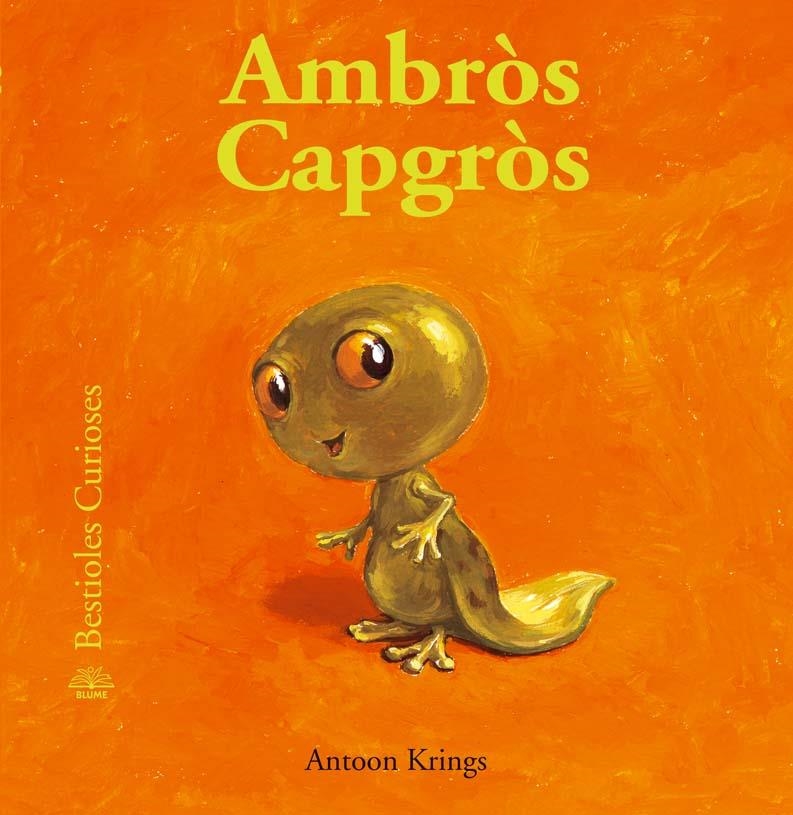 AMBROS CAPGROS | 9788498014129 | KRINGS, ANTOON | Llibreria Online de Banyoles | Comprar llibres en català i castellà online