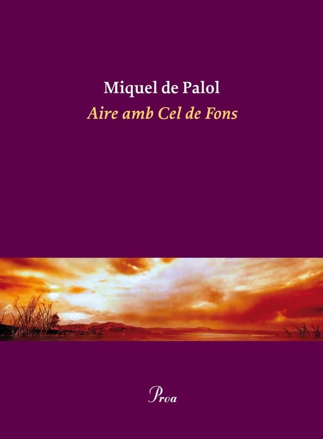 AIRE AMB CEL DE FONS | 9788475882932 | MIQUEL DE PALOL | Llibreria L'Altell - Llibreria Online de Banyoles | Comprar llibres en català i castellà online - Llibreria de Girona