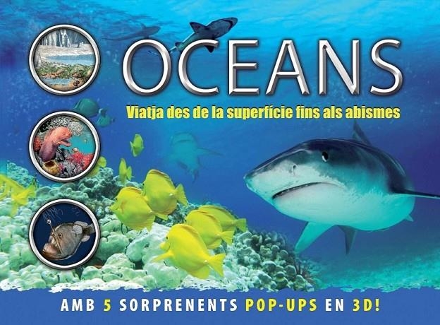 OCEANS CAT | 9788479422660 | GREEN JEN | Llibreria Online de Banyoles | Comprar llibres en català i castellà online