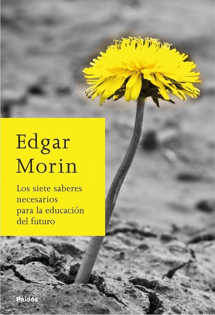 SIETE SABERES NECESARIOS, LOS | 9788449324901 | MORIN, EDGAR | Llibreria Online de Banyoles | Comprar llibres en català i castellà online