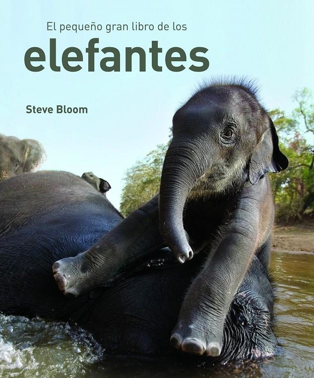 EL PEQUEÑO GRAN LIBRO DE LOS ELEFANTES | 9788497543057 | BLOOM, STEVE | Llibreria Online de Banyoles | Comprar llibres en català i castellà online