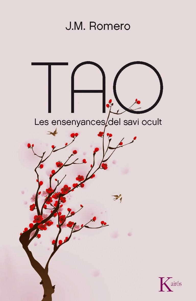 TAO | 9788499881805 | ROMERO MARTÍ, JOSEP MARIA | Llibreria Online de Banyoles | Comprar llibres en català i castellà online