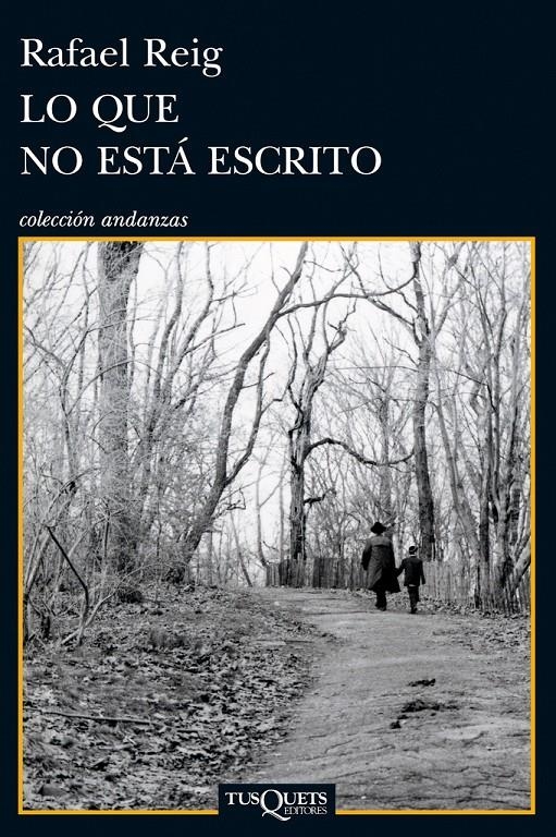 QUE NO ESTÁ ESCRITO, LO | 9788483834282 | REIG CARRIEDO, RAFAEL | Llibreria Online de Banyoles | Comprar llibres en català i castellà online